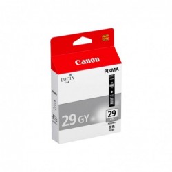 Canon PGI29 Gris Cartucho de Tinta Original - 4871B001