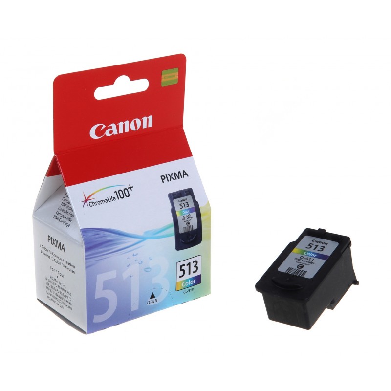 Canon CL513 Color Cartucho de Tinta Original - 2971B001